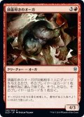 【JPN】頭蓋叩きのオーガ/Skullknocker Ogre[MTG_ELD_142U]