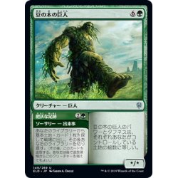 画像1: 【JPN】豆の木の巨人/Beanstalk Giant[MTG_ELD_149U]