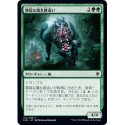 画像1: 【JPN】獰猛な魔女跡追い/Fierce Witchstalker[MTG_ELD_154C]