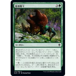 画像1: 【JPN】筋骨隆々/Outmuscle[MTG_ELD_170C]