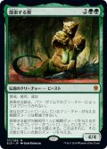 【JPN】探索する獣/Questing Beast[MTG_ELD_171M]