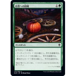 画像1: 【JPN】自然への回帰/Return to Nature[MTG_ELD_173C]