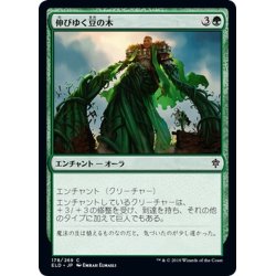 画像1: 【JPN】伸びゆく豆の木/Tall as a Beanstalk[MTG_ELD_178C]