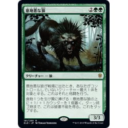 画像1: 【JPN】意地悪な狼/Wicked Wolf[MTG_ELD_181R]