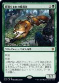 【JPN】★Foil★僻境生まれの保護者/Wildborn Preserver[MTG_ELD_182R]