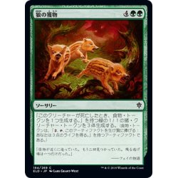 画像1: 【JPN】狼の獲物/Wolf's Quarry[MTG_ELD_184C]