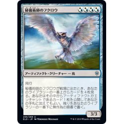 画像1: 【JPN】秘儀術師のフクロウ/Arcanist's Owl[MTG_ELD_206U]