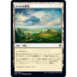 画像1: 【JPN】のどかな農場/Idyllic Grange[MTG_ELD_246C]