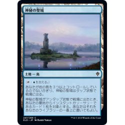 画像1: 【JPN】神秘の聖域/Mystic Sanctuary[MTG_ELD_247C]