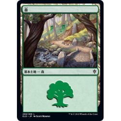 画像1: 【JPN】森/Forest[MTG_ELD_268L]