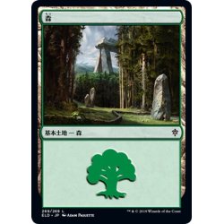 画像1: 【JPN】森/Forest[MTG_ELD_269L]