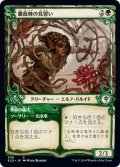 【JPN】★Foil★薔薇棘の見習い/Rosethorn Acolyte[MTG_ELD_300C]