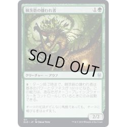 画像1: 【JPN】棘茨砦の嫌われ者/Bramblefort Fink?[MTG_ELD_311U]