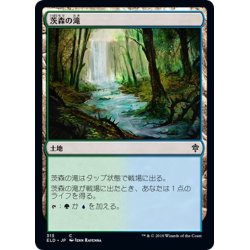 画像1: 【JPN】茨森の滝/Thornwood Falls[MTG_ELD_313C]