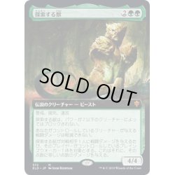 画像1: 【JPN】探索する獣/Questing Beast[MTG_ELD_372M]