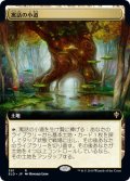 【JPN】寓話の小道/Fabled Passage[MTG_ELD_391R]