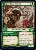 【ENG】薔薇棘の見習い/Rosethorn Acolyte[MTG_ELD_300C]