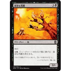 画像1: 【JPN】貪欲な禿鷹/Wake of Vultures[MTG_EMA_115C]