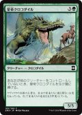 【JPN】皇帝クロコダイル/Emperor Crocodile[MTG_EMA_165C]