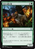 【JPN】火打ち蹄の猪/Flinthoof Boar[MTG_EMA_166U]