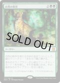 【JPN】自然の秩序/Natural Order[MTG_EMA_177M]