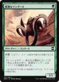 【JPN】敏捷なマングース/Nimble Mongoose[MTG_EMA_179C]