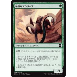 画像1: 【JPN】敏捷なマングース/Nimble Mongoose[MTG_EMA_179C]