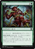 【JPN】樹根/Roots[MTG_EMA_183C]