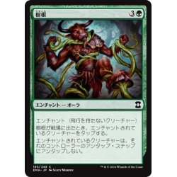 画像1: 【JPN】樹根/Roots[MTG_EMA_183C]