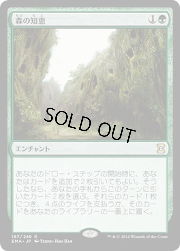 画像1: 【JPN】森の知恵/Sylvan Library[MTG_EMA_187R] (1)