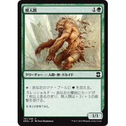 画像1: 【JPN】熊人間/Werebear[MTG_EMA_191C]