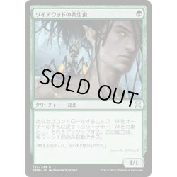 画像1: 【JPN】ワイアウッドの共生虫/Wirewood Symbiote[MTG_EMA_192U]