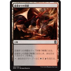 画像1: 【JPN】血溜まりの洞窟/Bloodfell Caves[MTG_EMA_236C]