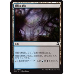 画像1: 【JPN】陰鬱な僻地/Dismal Backwater[MTG_EMA_238C]