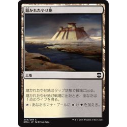 画像1: 【JPN】磨かれたやせ地/Scoured Barrens[MTG_EMA_244C]