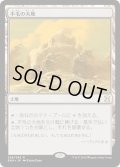 【JPN】不毛の大地/Wasteland[MTG_EMA_248R]