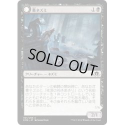 画像1: 【JPN】墓ネズミ/Graf Rats[MTG_EMN_091C]