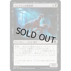 画像1: 【JPN】スレイベンの異血種/Thraben Foulbloods[MTG_EMN_108C]