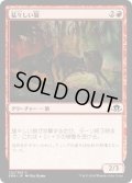 【JPN】猛々しい狼/Brazen Wolves[MTG_EMN_122C]