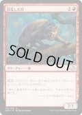 【JPN】狂乱した仔/Deranged Whelp[MTG_EMN_125U]