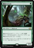 【JPN】蔓延するもの/Permeating Mass[MTG_EMN_165R]