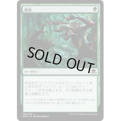 画像1: 【JPN】捕食/Prey Upon[MTG_EMN_166C]