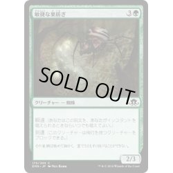 画像1: 【JPN】敏捷な巣紡ぎ/Swift Spinner[MTG_EMN_173C]