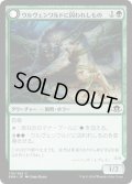 【JPN】ウルヴェンワルドに囚われしもの/Ulvenwald Captive[MTG_EMN_175C]