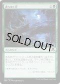 【JPN】満ちゆく月/Waxing Moon[MTG_EMN_177C]