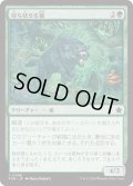 【JPN】待ち伏せる狼/Ambush Wolf [MTG_FDN_0098_C]