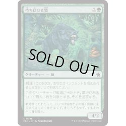 画像1: 【JPN】待ち伏せる狼/Ambush Wolf [MTG_FDN_0098_C]