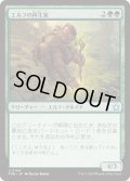 【JPN】エルフの再生家/Elvish Regrower [MTG_FDN_0104_U]