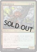 【JPN】灰根の精霊信者/Ashroot Animist [MTG_FDN_0117_R]