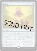 【JPN】親族旗/Banner of Kinship [MTG_FDN_0127_R]